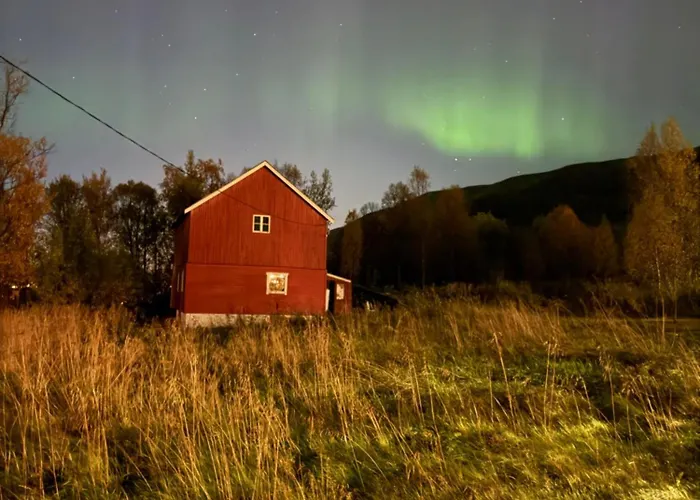 Tales Of Thules Sigridtunet Your Arctic Night Under The Northern Lights *